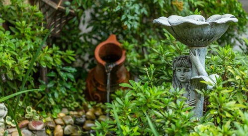 驚艷時光 庭院錦鯉魚池設計與園林綠化施工全解析