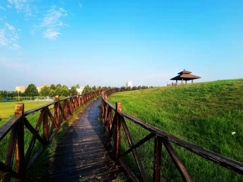 第二批山東省省級考古遺址公園名單公布，濟寧兩遺址入選助力文化遺產保護