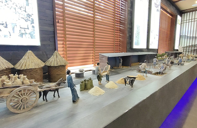 守護文明的“活化石” 微縮傳統古法釀造技藝在文物文化遺址保護中的創新服務